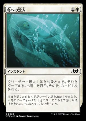 画像1: 冬への没入/Plunge into Winter