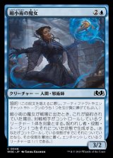 縮小術の魔女/Diminisher Witch
