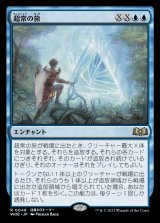 超常の旅/Extraordinary Journey