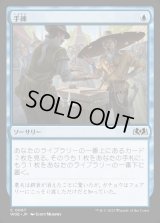 手練/Sleight of Hand