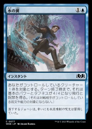 画像1: 水の翼/Water Wings