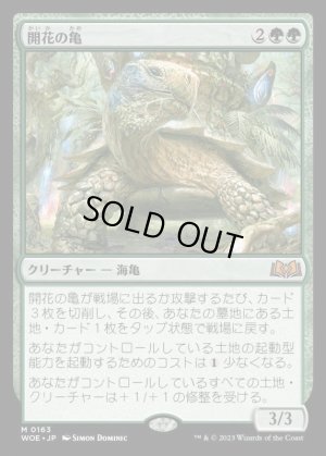 画像1: 開花の亀/Blossoming Tortoise