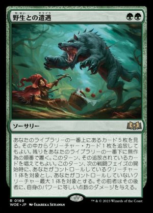 画像1: 野生との遭遇/Feral Encounter