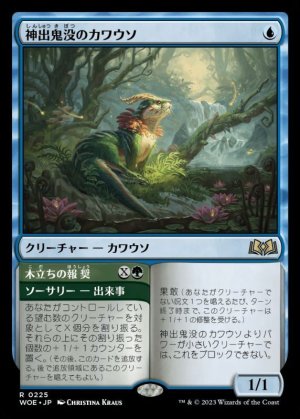 画像1: 神出鬼没のカワウソ/Elusive Otter