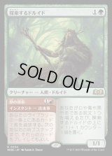 探索するドルイド/Questing Druid