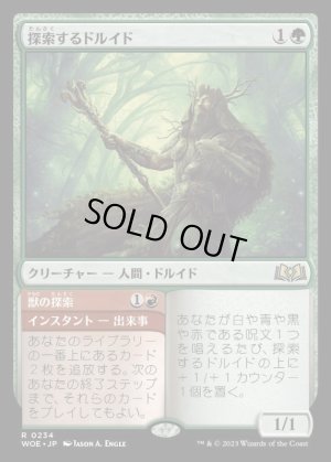 画像1: 探索するドルイド/Questing Druid