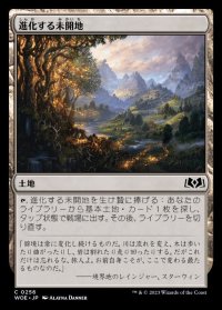 進化する未開地/Evolving Wilds