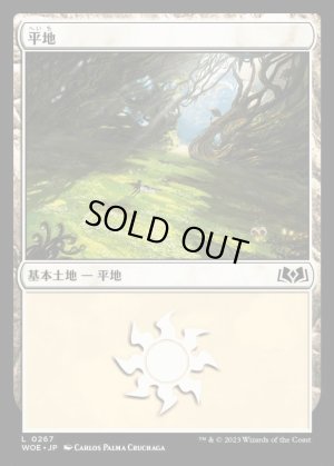 画像1: 平地/Plains