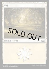 平地/Plains