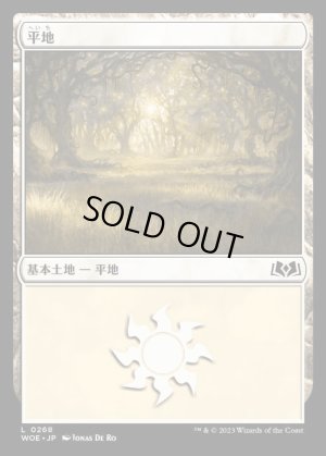 画像1: 平地/Plains