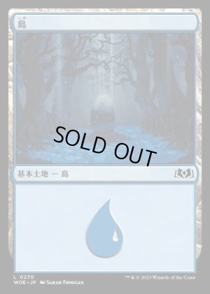画像1: 島/Island