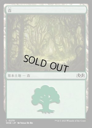 画像1: 森/Forest