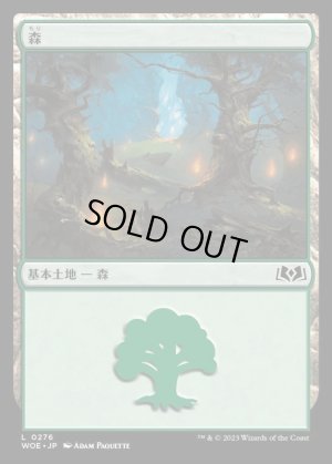 画像1: 森/Forest