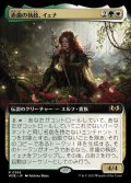 《赤歯の執政、イェナ/Yenna, Redtooth Regent(0365)》【JPN】[WOE金R]