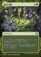 成長の季節/Season of Growth