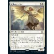 画像1: 光輝のソーラー/Radiant Solar (1)