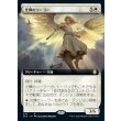 画像1: 光輝のソーラー/Radiant Solar (1)