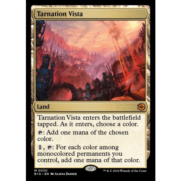 画像2: 破滅の眺望/Tarnation Vista (2)