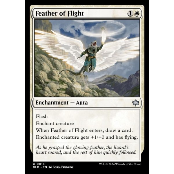 画像2: 飛行の羽/Feather of Flight (2)