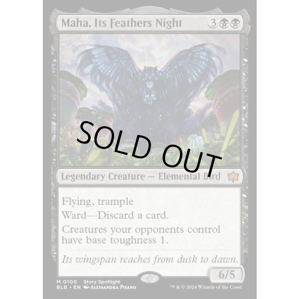 画像2: 羽の夜のマーハ/Maha, Its Feathers Night (2)