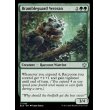画像2: 茨守りの古参兵/Brambleguard Veteran (2)