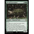 画像2: 肥えた緑甲羅/Fecund Greenshell (2)