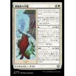 画像1: 建築家の才能/Builder's Talent (1)