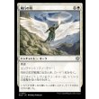 画像1: 飛行の羽/Feather of Flight (1)