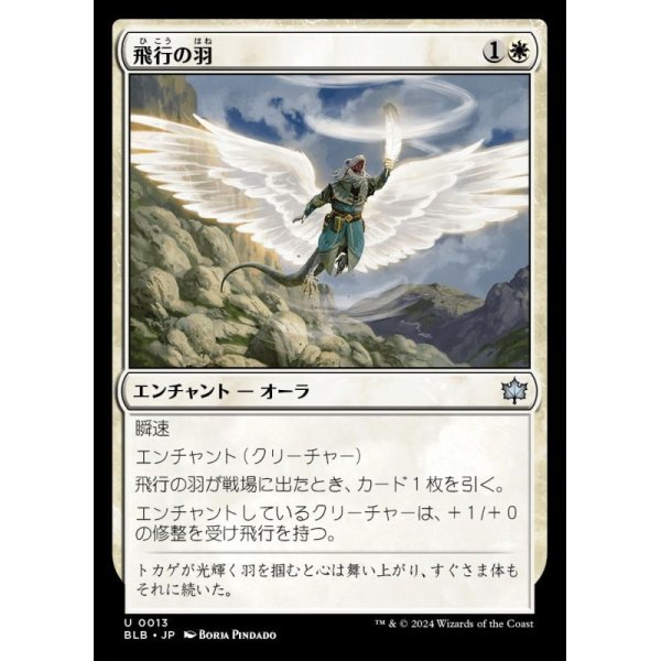 画像1: 飛行の羽/Feather of Flight (1)