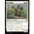 画像1: 巣穴の戦導者/Warren Warleader (1)