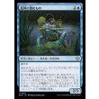 画像1: 長川に潜むもの/Long River Lurker (1)