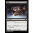 画像1: 初冬/Early Winter (1)