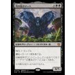 画像1: 羽の夜のマーハ/Maha, Its Feathers Night (1)