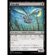 画像1: 星景の僧侶/Starscape Cleric (1)