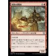 画像1: 厚顔な収集者/Brazen Collector (1)