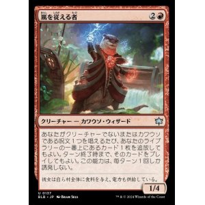 画像: 嵐を従える者/Harnesser of Storms