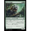 画像1: 茨守りの古参兵/Brambleguard Veteran (1)
