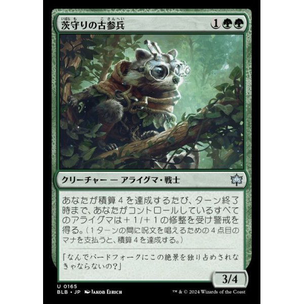画像1: 茨守りの古参兵/Brambleguard Veteran (1)