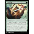 画像1: 長茎の乱闘/Longstalk Brawl (1)