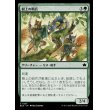 画像1: 樹上の哨兵/Treetop Sentries (1)