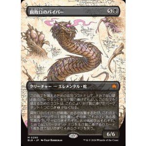 画像: 腐敗口のバイパー/Rottenmouth Viper