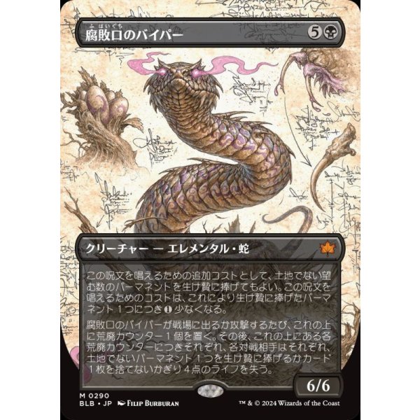 画像1: 腐敗口のバイパー/Rottenmouth Viper (1)