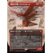 画像1: 運命の大嵐、ドラゴンホーク/Dragonhawk, Fate's Tempest (1)