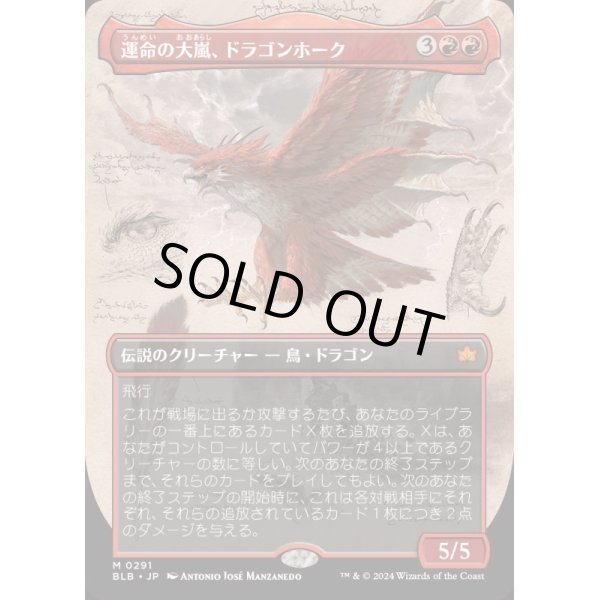 画像1: 運命の大嵐、ドラゴンホーク/Dragonhawk, Fate's Tempest (1)