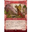 画像1: 雇われ爪/Hired Claw (1)