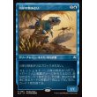 画像1: 川岸の物あさり/Shoreline Looter (1)