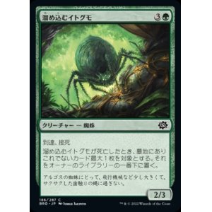 画像: 《溜め込むイトグモ/Hoarding Recluse(186)》【JPN】[BRO緑C]