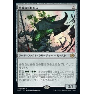 画像: 常緑のビヒモス/Perennial Behemoth