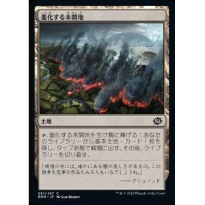 画像: 《進化する未開地/Evolving Wilds(261)》【JPN】[BRO土地C]