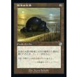画像1: 胆液の水源/Ichor Wellspring (1)